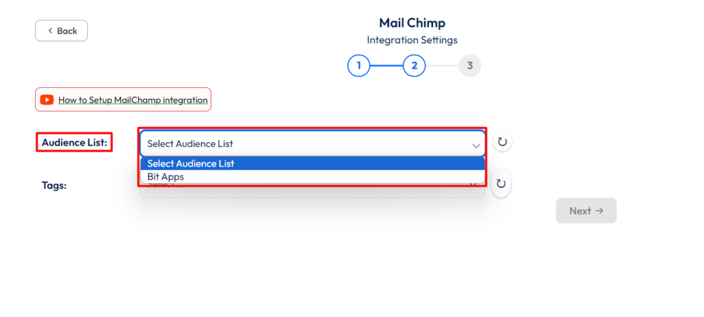 Mailchimp Integration with Bit Form - Audience List