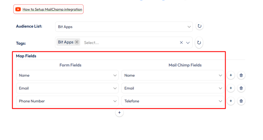 Mailchimp Integration with Bit Form - Field Mapping