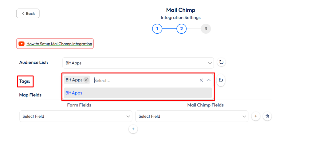 Mailchimp Integration with Bit Form - Tags