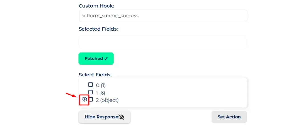 Action Hook Integrations - Bit Form - Click on the plus icon