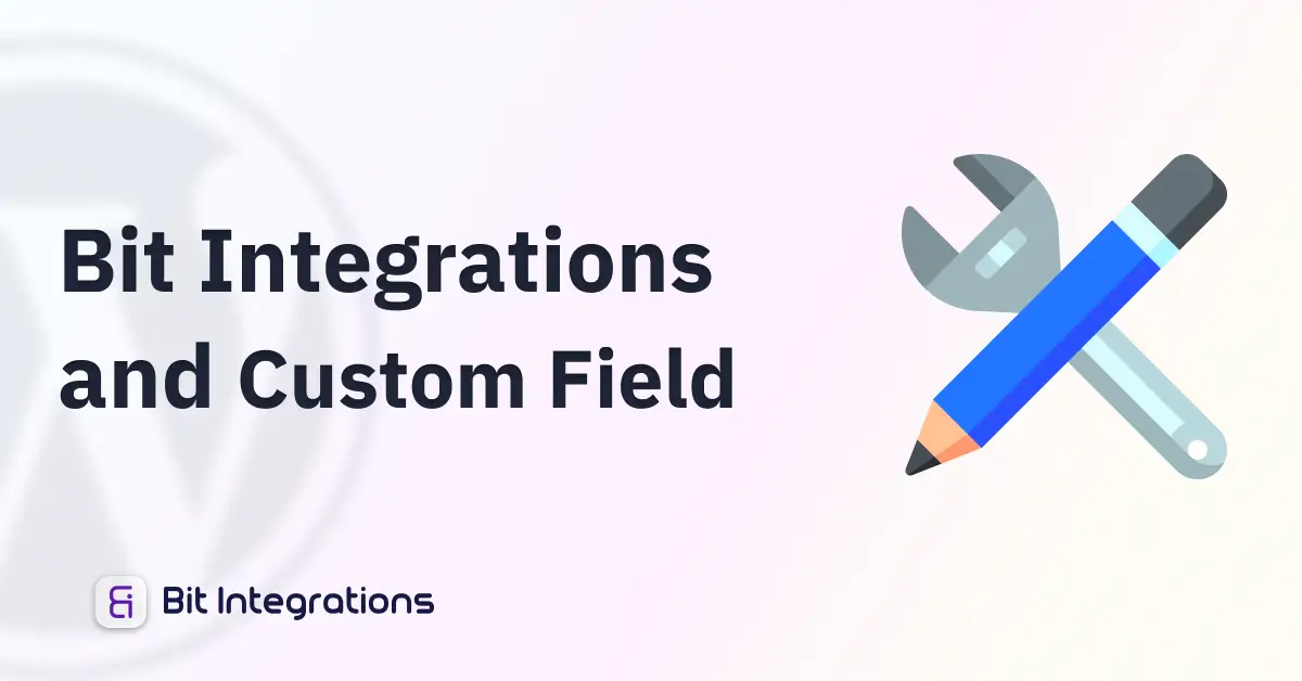 Bit Integrations and Custom Field