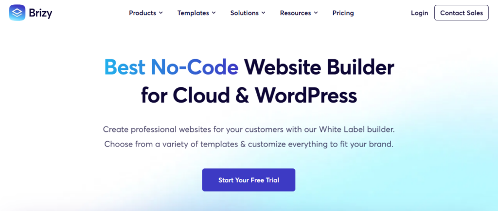 Brizy integrations with Bit integrations