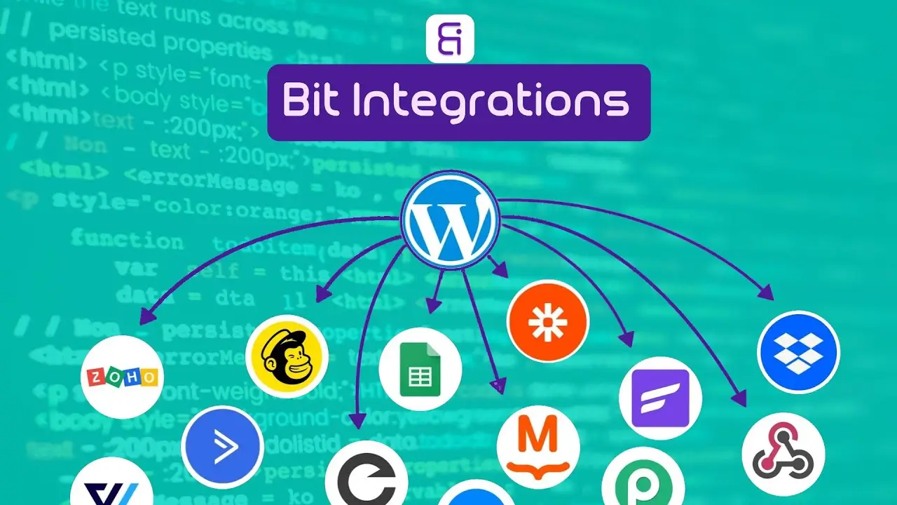 Seamless Integration Connect 208+ Popular Platforms to WordPress with Bit Integrations