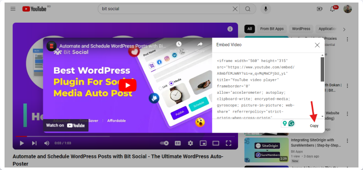 click the embed code