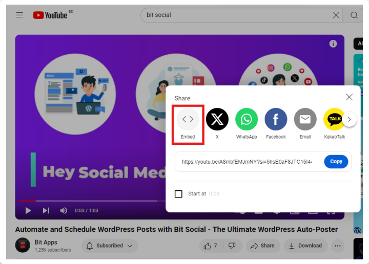 embed video on website