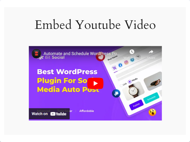 embedded YouTube video on a WordPress website